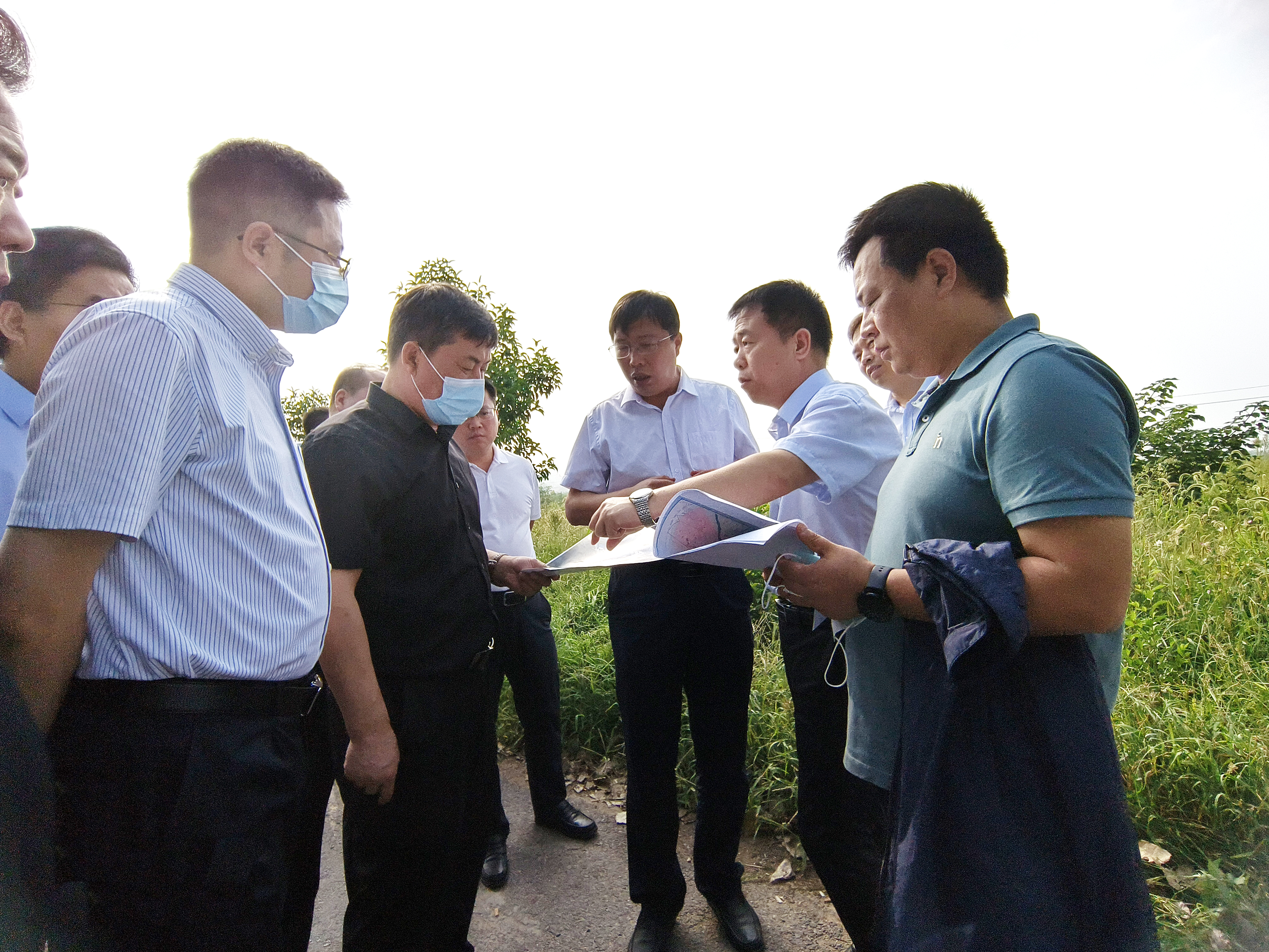 食品控股集团：灞桥区区委书记苗志忠调研粮农食品综合加工园区项目